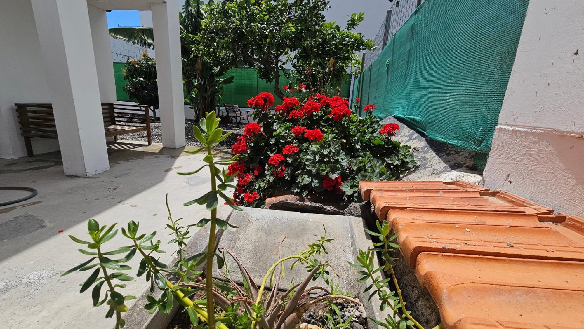 Vila Casa Tina Güimar Exteriér fotografie